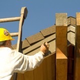National Housing Survey 2012